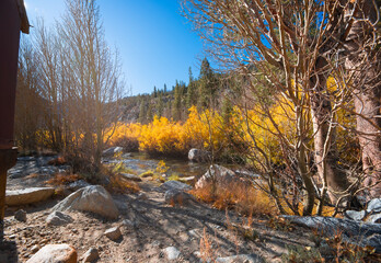 California autumn foliage of  beautiful orange and yellow bushes beside river - 634200745