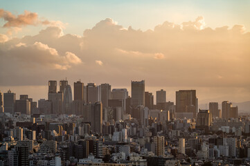 Fototapeta premium 東京都文京区から見た夕方の東京の都市景観