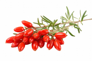 Goji berries  isolated on a transparent background, close