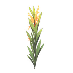 Fototapeta premium stylized plant texture for anime and cartoon