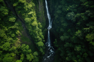 Majestic Aerial View of Serene Hidden Waterfall Cascading Through Lush Green Forest