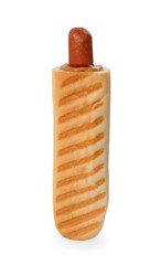 Tasty french hot dog with ketchup and mustard isolated on white