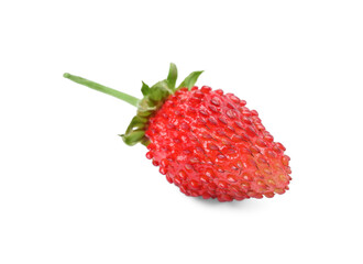 One ripe wild strawberry isolated on white