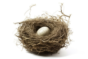 Bird nest on white background