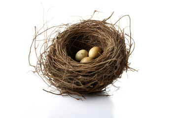 Bird nest on white background
