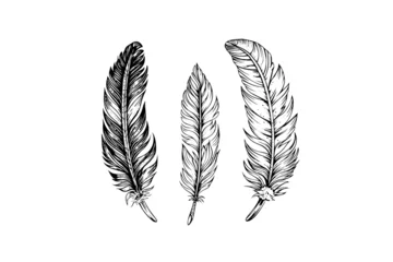 Keuken foto achterwand Veren A vintage feather quill etching style sketch. Vector engraving style illustration.