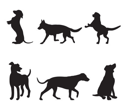 isolated black silhouette of a dog , vector collection	