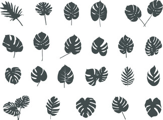 Tropical leaves silhouette, Tropical palm leaves vector, Leaves silhouette, Leaf icon, Tropical leaves vector, Tropical leaves Svg,  Tropical leave icon.