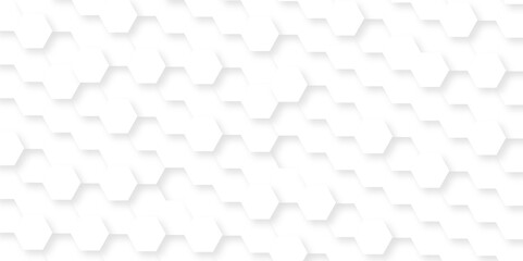 Abstract white Hexagonal Background. Luxury White Pattern. Vector Illustration. 3D Futuristic abstract honeycomb mosaic white background. geometric mesh cell texture.