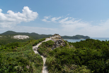 Fototapeta premium 小さな岩山に続く緑に覆われた細い道