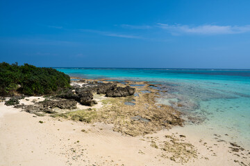 Fototapeta na wymiar 沖縄 宮古島の岩場とサンゴ礁