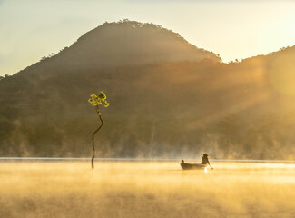 Beautiful scenery of Da Lat early in the morning at Tuyen Lam Lake with lonely trees growing...