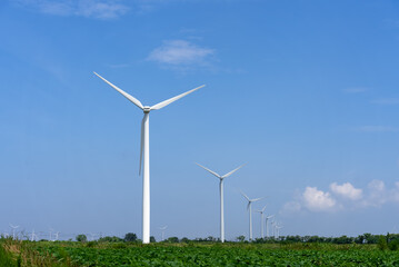 Wind turbines in the middle of field 