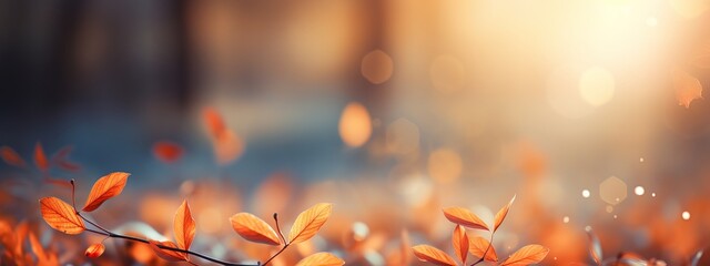 Beautiful yellow red and orange leaves in an autumn park on a br