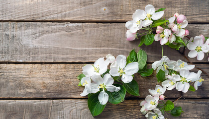Spring flowers of blossoming apple tree branches on rustic wooden background. Top view.