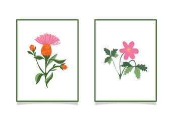 Vector illustration depicting wild flowers. Anemone and cornflower