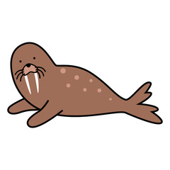 sea lion illustration