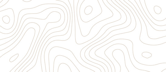 Abstract topographic map lines, contour map background. .topographic 3D waves map background .abstract white wave paper curved reliefs. - obrazy, fototapety, plakaty