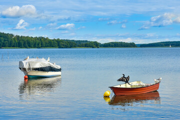 boats on Charzykowskie lake in Poland, beautiful landscape