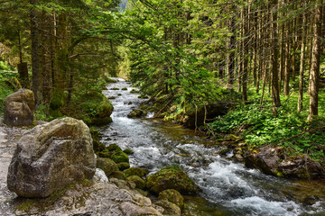 mountain stream in the Tatras, beautiful landscape