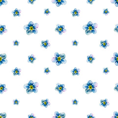 Field forget-me-not buds hand-drawn seamless rapport. Watercolor floral illustration of delicate blue flower heads on white background. Meadow wildflower scillfully painted for textile printing