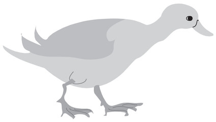 SImple duck vector ilustration