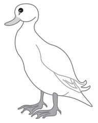 SImple duck vector ilustration