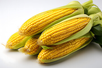 corn on the cob on white background