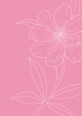 Flower line art on pink background, Abstract flower poster design