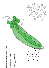 Continuous one line drawing pea pod. Vector illustration. Black line art on white background with colorful spots and elements. Poster in minimalism concept