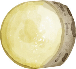 Potato watercolor illustrations