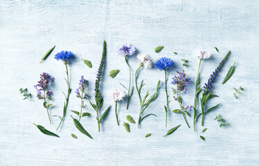 An arrangement of catnip, speedwell and corn flowers on painted wooden background. Flat lay