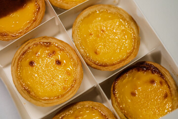 egg tarts