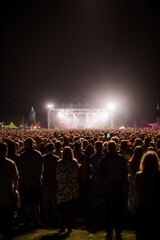 shot of a crowd at a concert in the distance