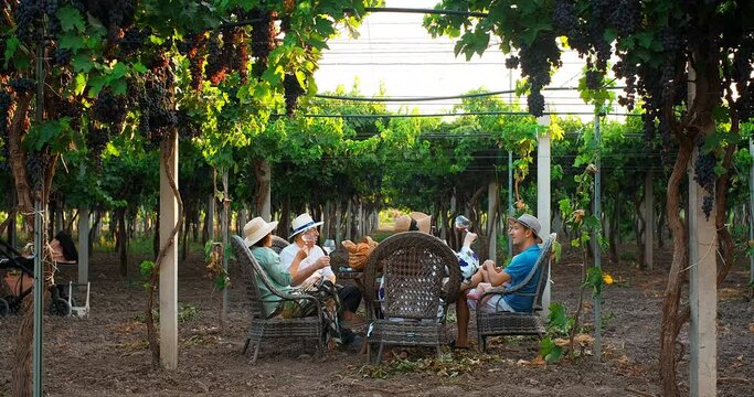 Family of winegrowers having outdoor lunch in the vineyards with lots of tasty food and wine on a sunny day. Grape harvesting season. Small family business