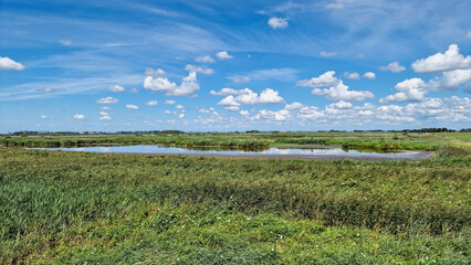Fototapeta na wymiar Typical open wide landscape with lake of Dutch province Frieslan