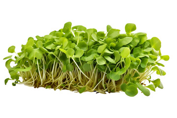 Obraz premium Close-up Cress vegetable isolated on transparent or white background PNG