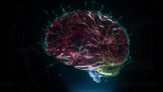 Brain neural pathways sending information