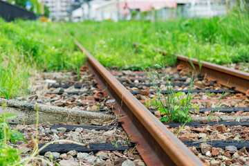 新緑の植物に覆われた地方鉄道の線路