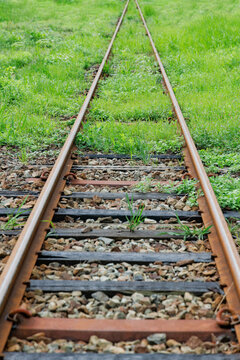 新緑の植物に覆われた地方鉄道の線路