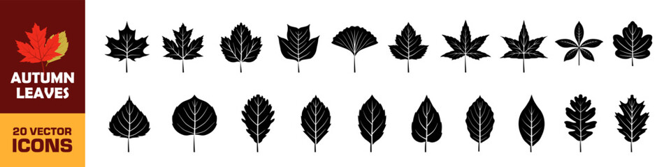 Autumn leaves set. Leaves icon set. Silhouette style.