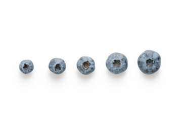 Fresh organic blueberries in a row top view shot on white background