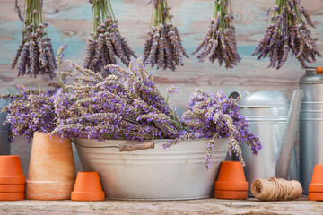 Freshly cut lavender on a garden table