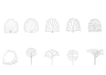tree line drawing side view graphics