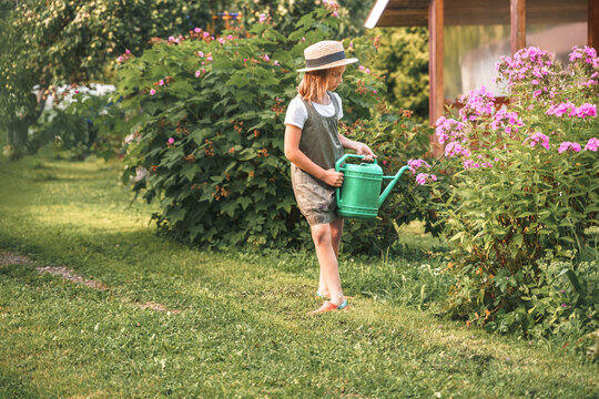 Farmer girl in summer straw hat. Little gardener farming, watering flowerbed with pink flowers, having fun in garden. Big green watering can water. Harvest help work. Cultivation plants, countryside