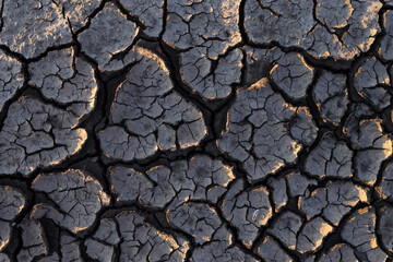 Dry cracked earth background, texture in sunset rays