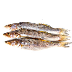 Pike perch dried uncut in on a white background