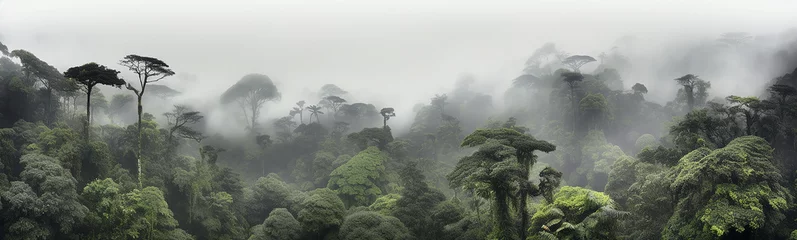 Photo sur Plexiglas Gris panorama of the rainforest tree tops in the fog.