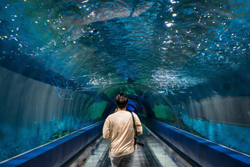 Soft focus of tourist to walk to see world's biological , exports wild-caught and farm-bred aquarium dome fish species to many fishes and  other sea creatures.