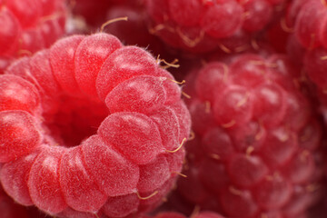fresh sweet red raspberries texture close up macro